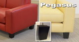 Pegasus Leg