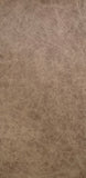 Palio Camel