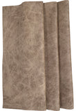 Palio Camel